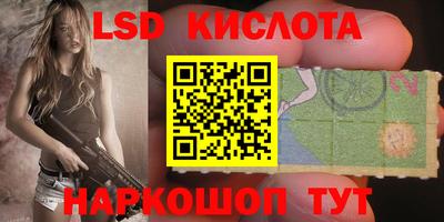 spice Славгород