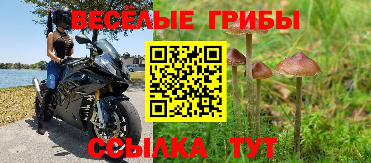 Псилоцибиновые грибы ЛСД Таганрог