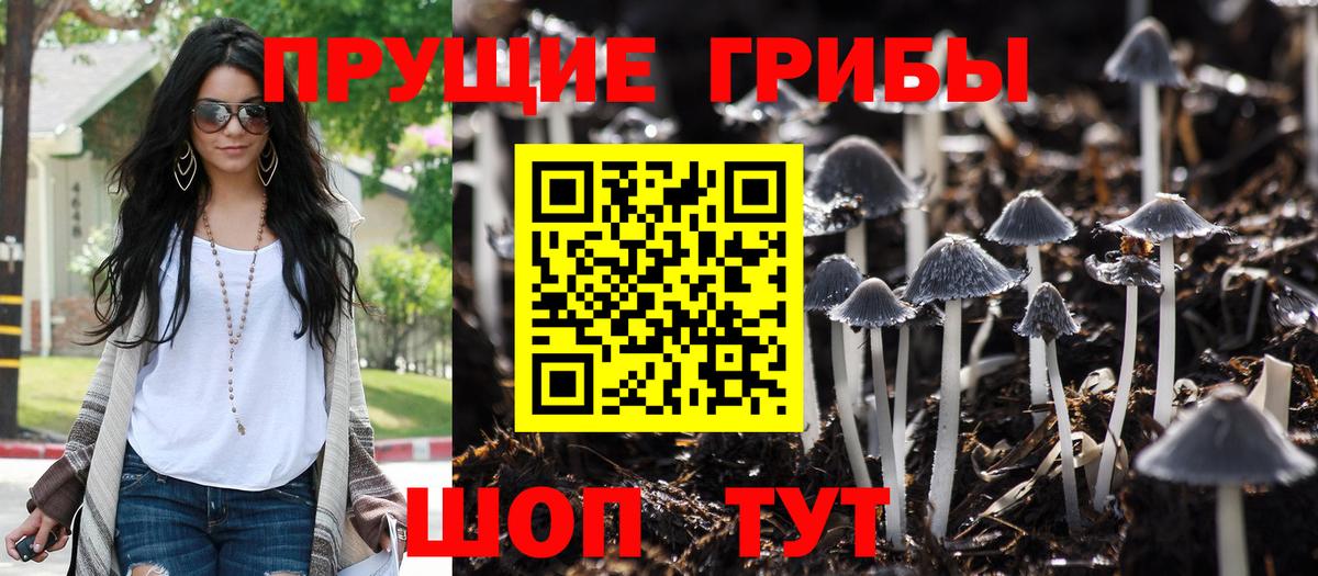 Таганрог  наркотики  Псилоцибиновые грибы мухоморы  Вход с VPN  Псилоцибиновые грибы MAGIC MUSHROOMS 